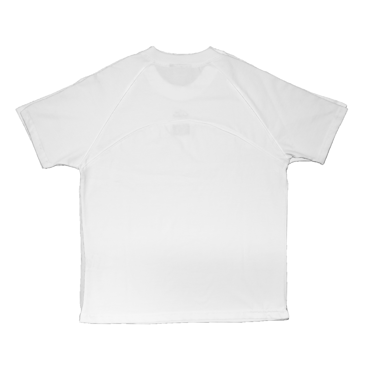 PALESTINE MOTHERLAND TEE